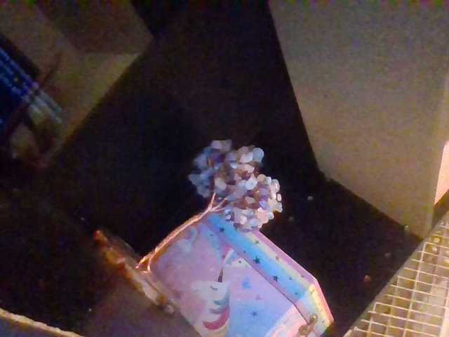 Preview of starlight1983