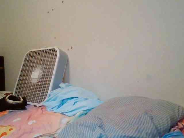 starlight1983 webcam