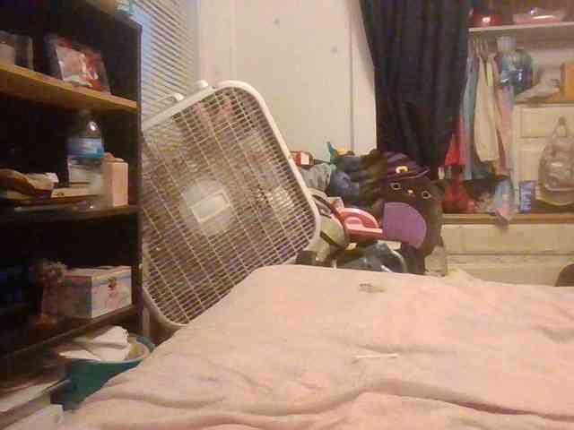 starlight1983 webcam