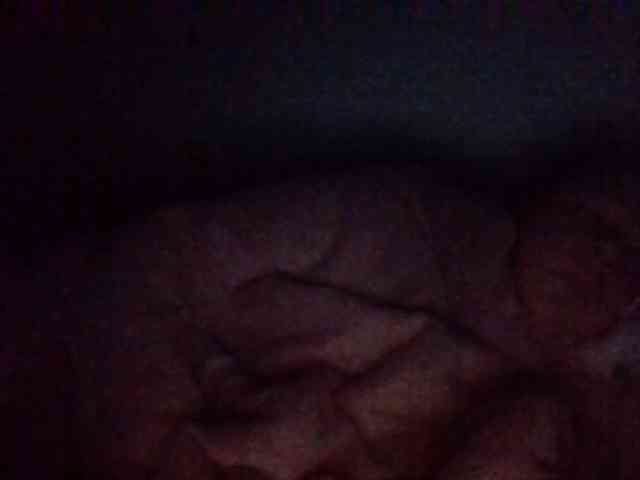 starlight1983 webcam