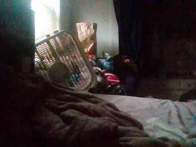 starlight1983 webcam