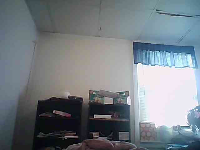 starlight1983 webcam