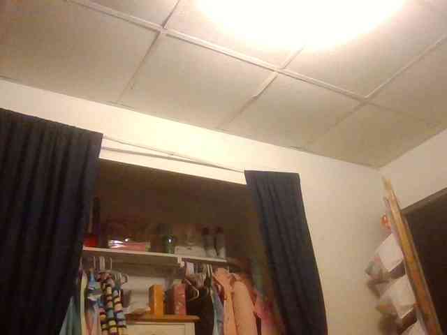 starlight1983 webcam