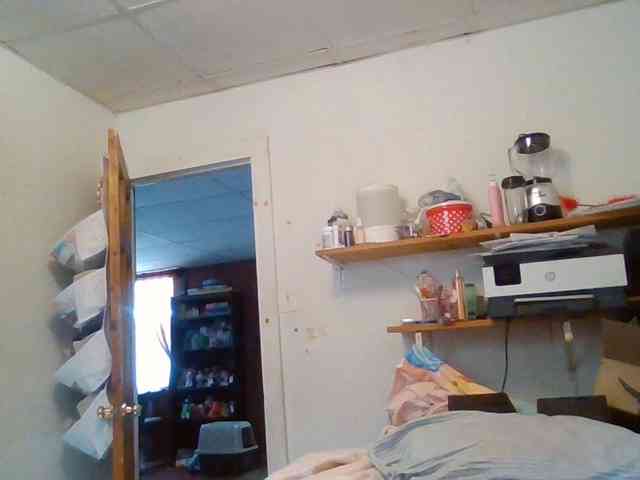 starlight1983 Live Webcam on BongaCams