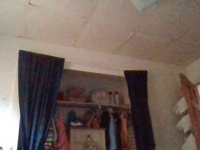 starlight1983 webcam