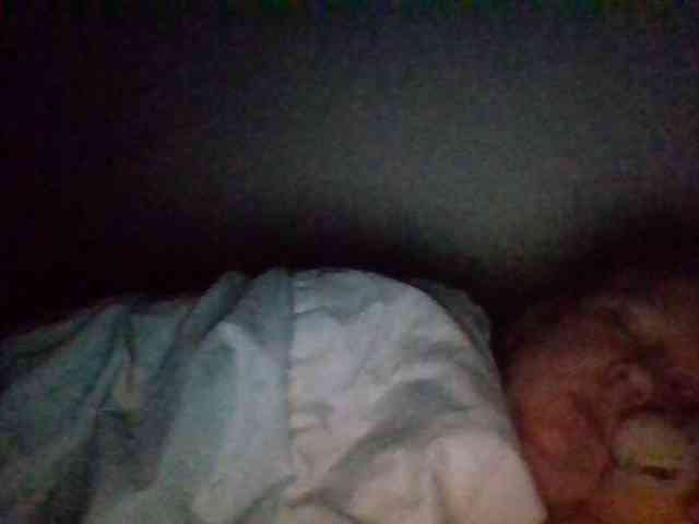 starlight1983 webcam