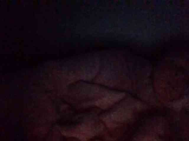 starlight1983 webcam