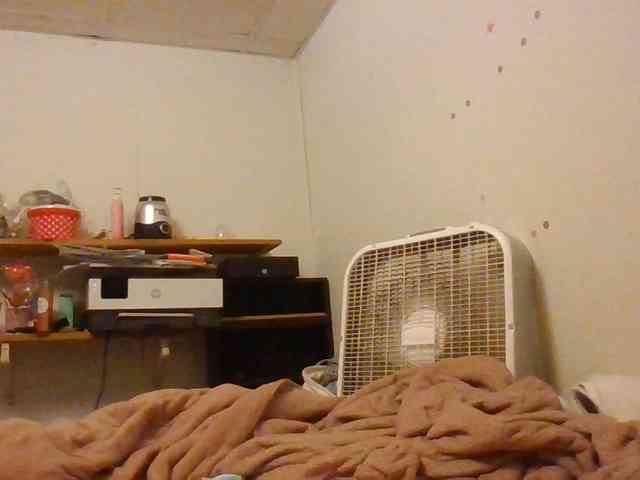 starlight1983 webcam