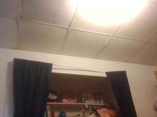 starlight1983 webcam