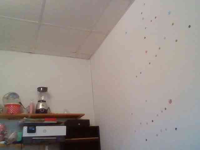 starlight1983 webcam