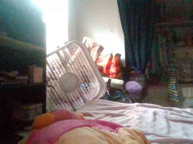 starlight1983 webcam