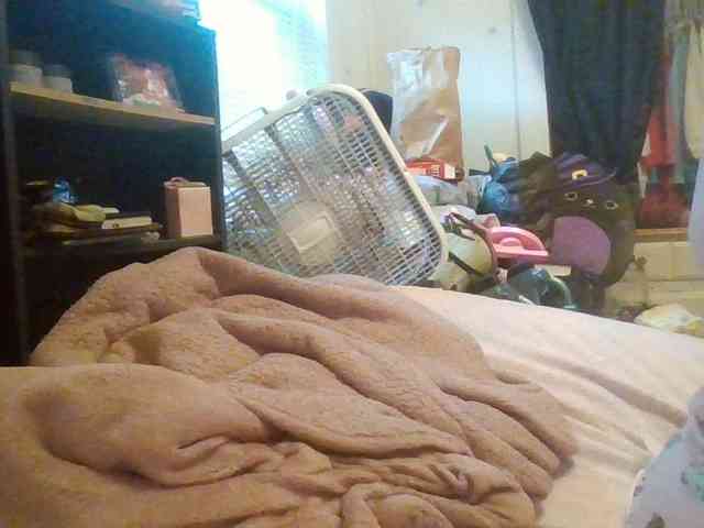 starlight1983 webcam