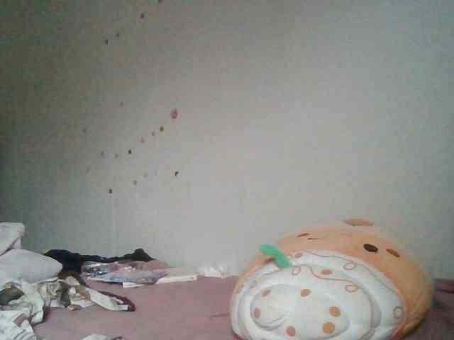 starlight1983 webcam