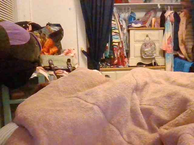 starlight1983 webcam