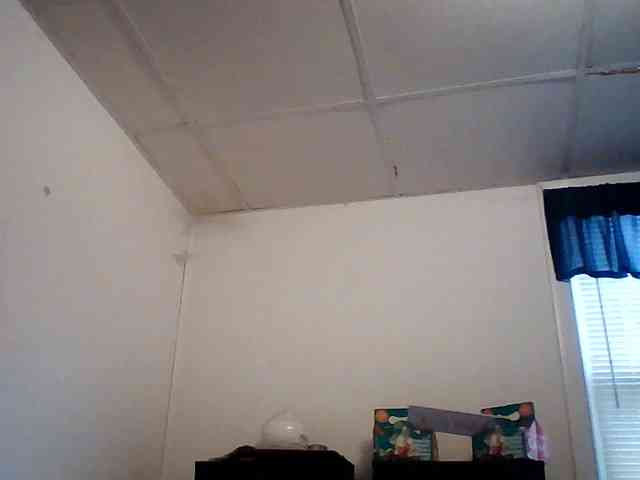 starlight1983 webcam