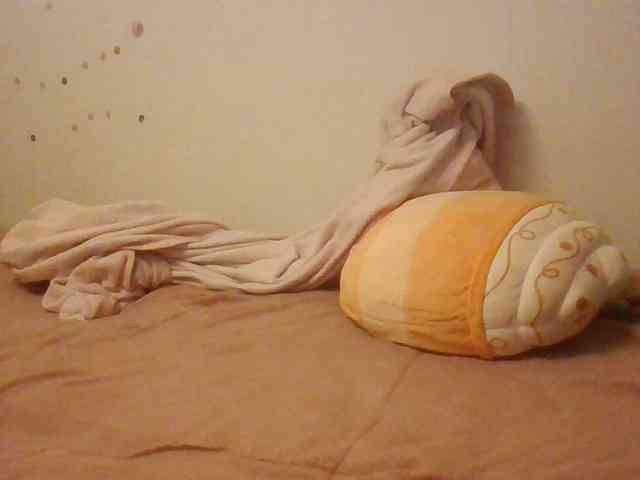 starlight1983 webcam