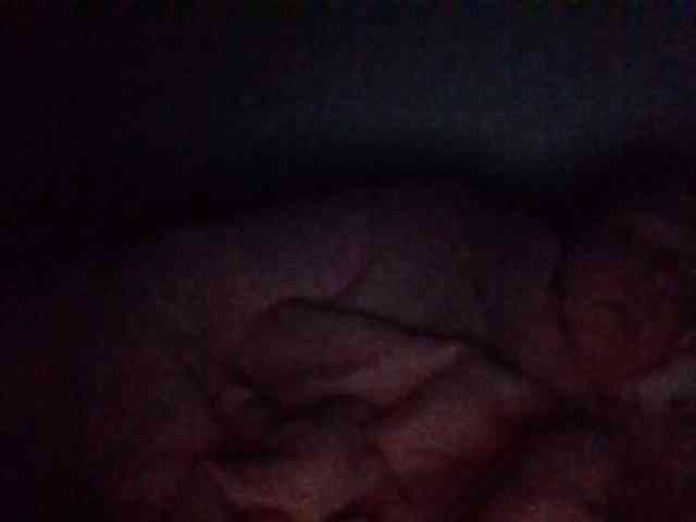 starlight1983 webcam