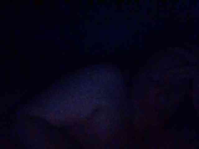 starlight1983 webcam