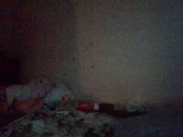 starlight1983 webcam