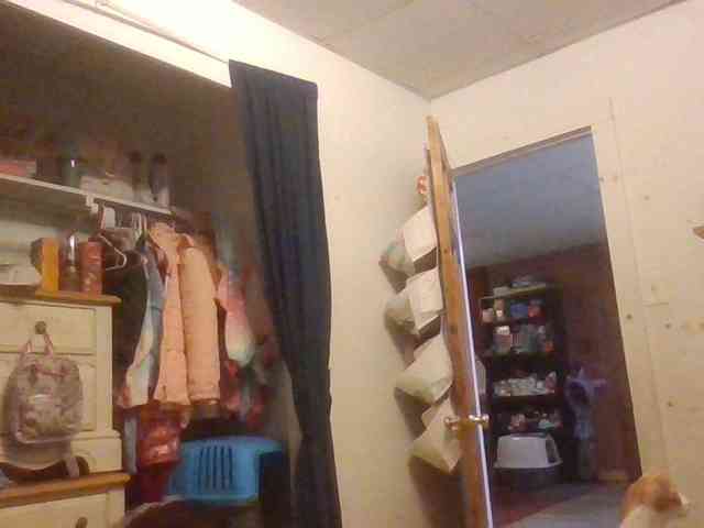 starlight1983 webcam