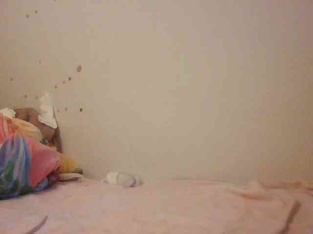 starlight1983 webcam