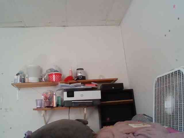 starlight1983 webcam