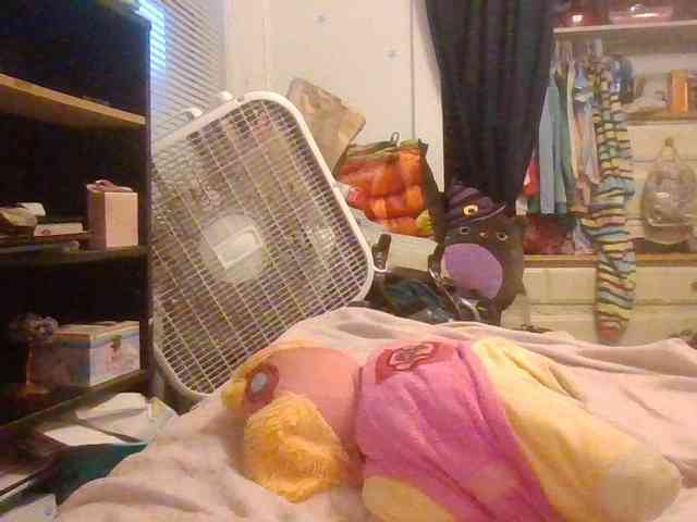 starlight1983 webcam