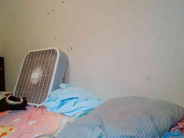 starlight1983 webcam