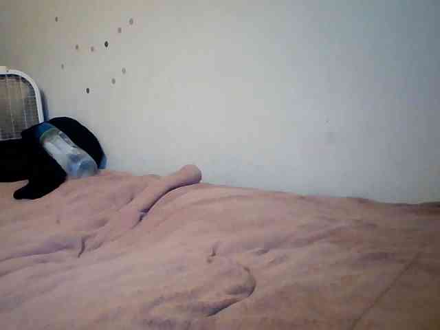 starlight1983 webcam