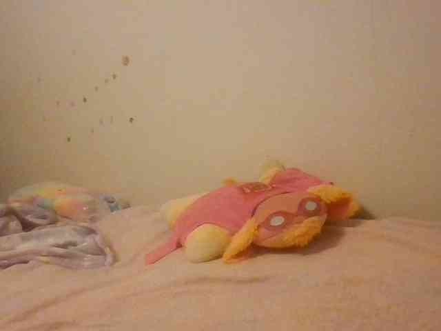 starlight1983 webcam
