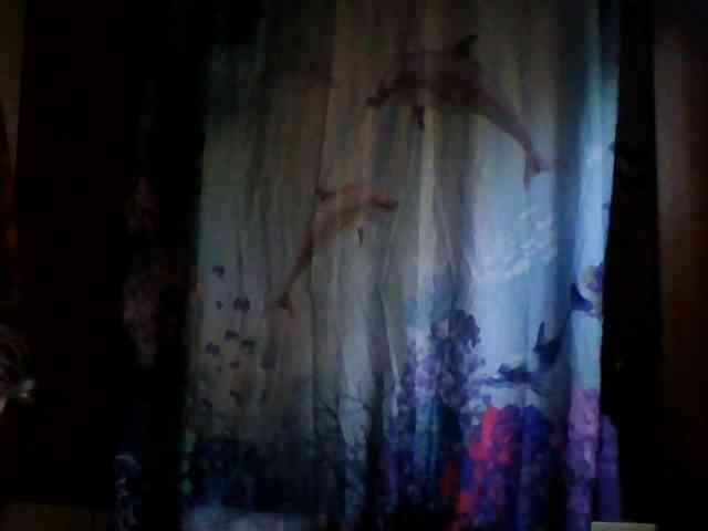 starlight1983