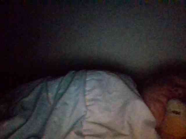 starlight1983 webcam