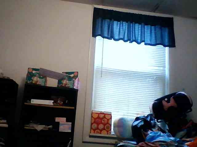 starlight1983 webcam