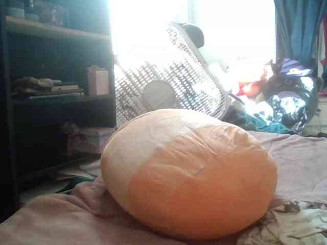 starlight1983 webcam