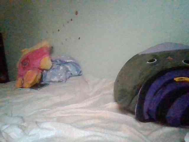 starlight1983 webcam
