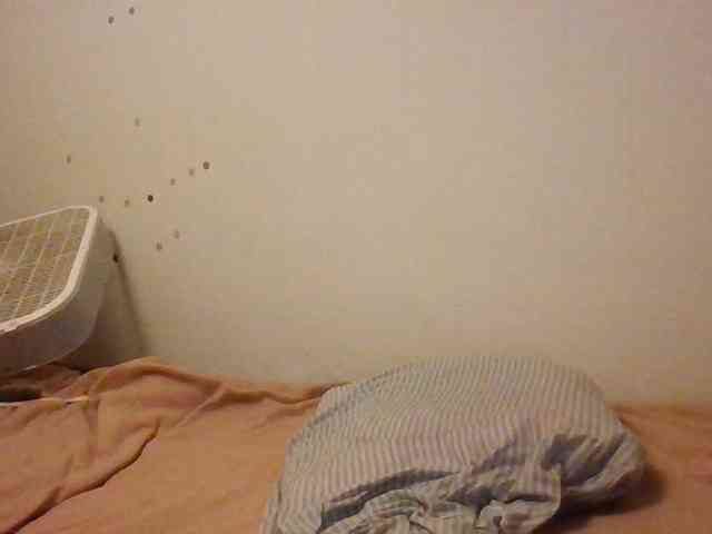 starlight1983 webcam