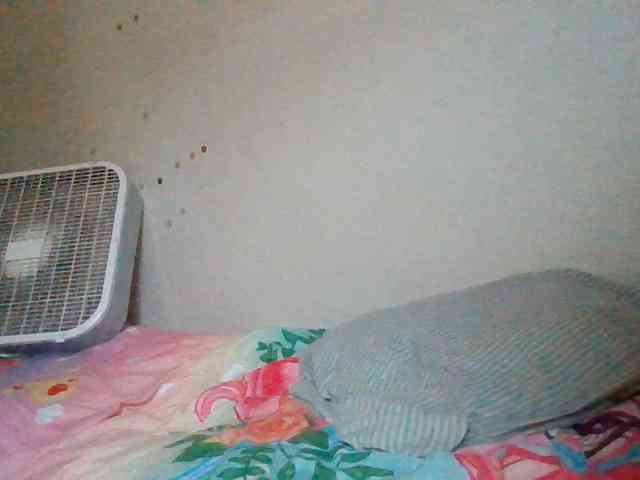 starlight1983 webcam