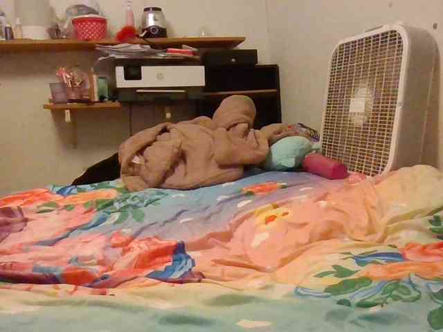 starlight1983 webcam