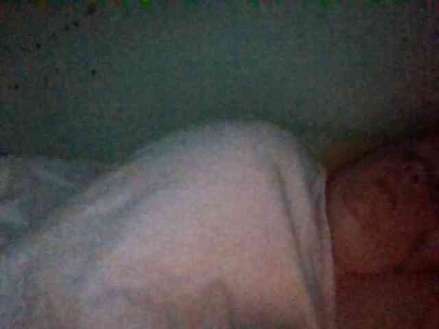 starlight1983 webcam