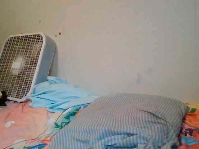 starlight1983 webcam