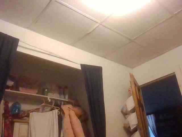 starlight1983 webcam