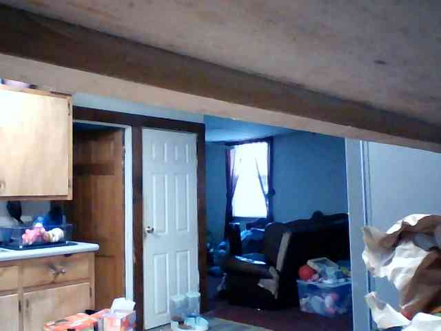 starlight1983 webcam