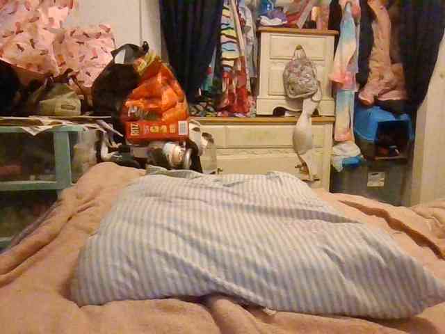 starlight1983 webcam