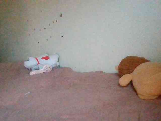 starlight1983 webcam