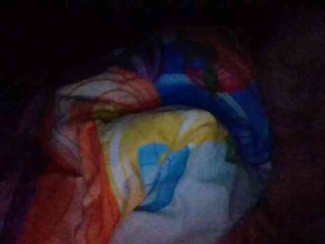 starlight1983 webcam