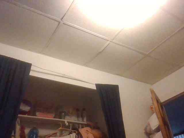 starlight1983 webcam