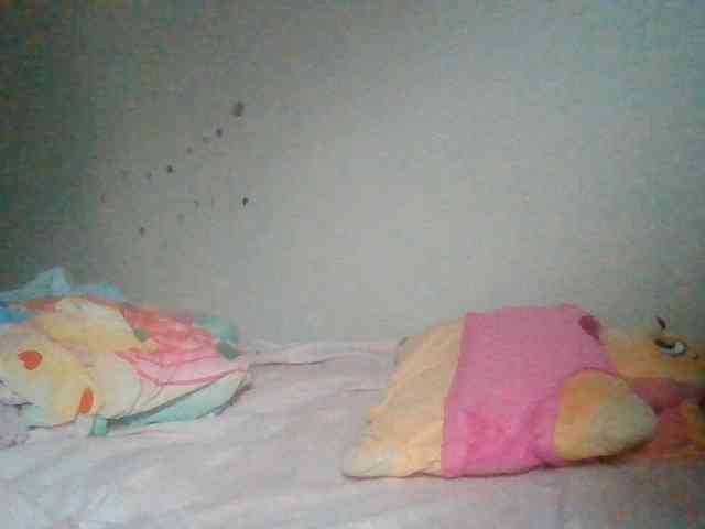 starlight1983 webcam