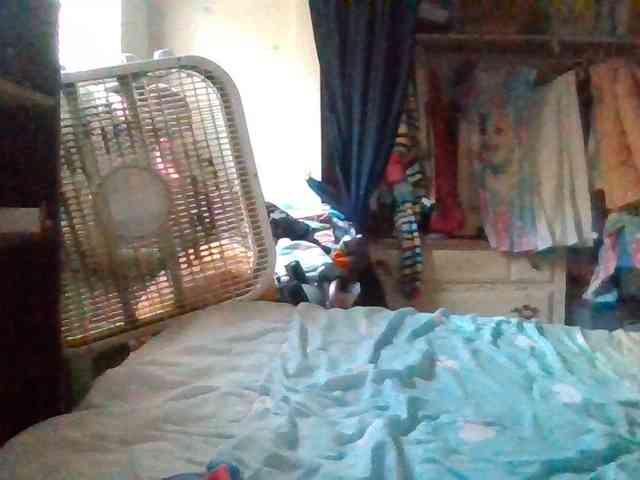 starlight1983 webcam