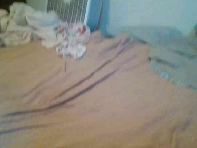 starlight1983 webcam