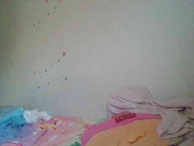 starlight1983 webcam